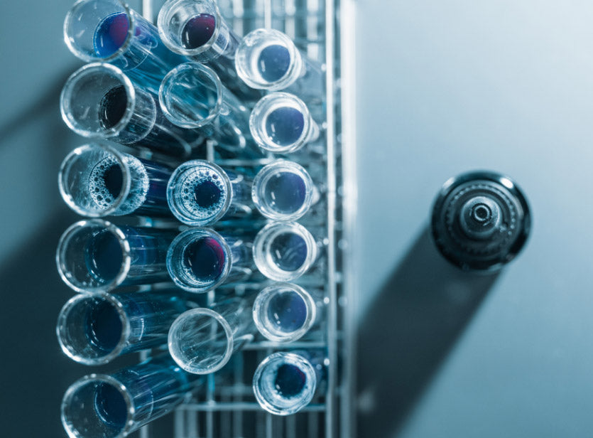 The Science of BL+ COMPLEX