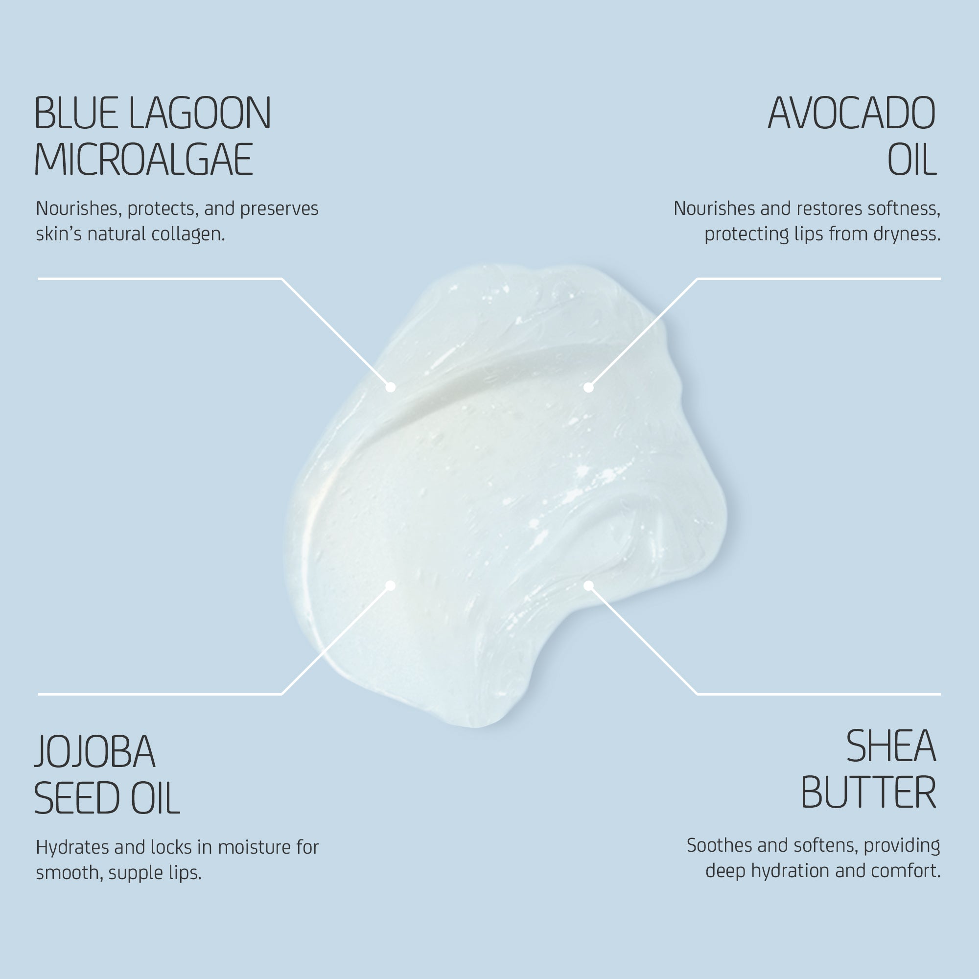 Texture of Lip Balm showing translucent, glossy balm with ingredient callouts